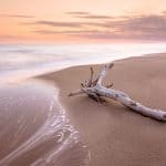 Maremma