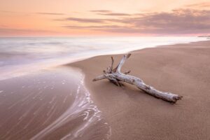 Maremma